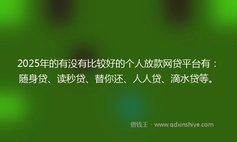2025年的有没有比较好的个人放款网贷平台有：随身贷、读秒贷、替你还、人人贷、滴水贷等。