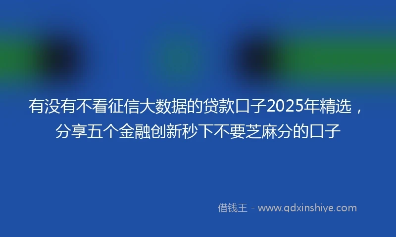 有没有不看征信大数据的贷款口子2025年精选，分享五个金融创新秒下不要芝麻分的口子