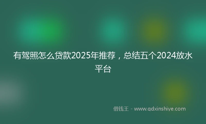 有驾照怎么贷款2025年推荐，总结五个2024放水平台
