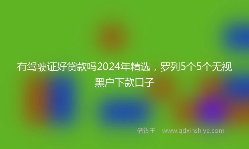 有驾驶证好贷款吗2024年精选，罗列5个5个无视黑户下款口子