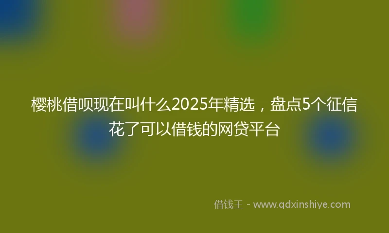 樱桃借呗现在叫什么2025年精选，盘点5个征信花了可以借钱的网贷平台