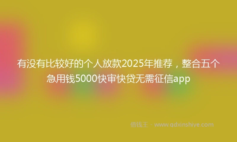 有没有比较好的个人放款2025年推荐，整合五个急用钱5000快审快贷无需征信app