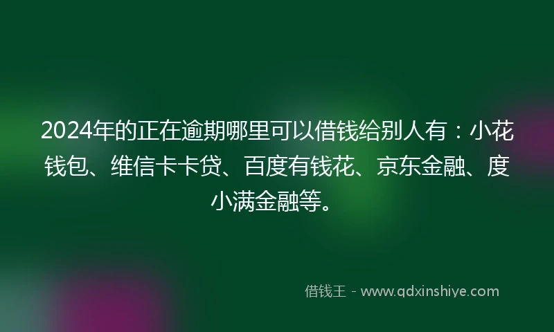 2024年的正在逾期哪里可以借钱给别人有：小花钱包、维信卡卡贷、百度有钱花、京东金融、度小满金融等。