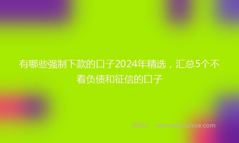 有哪些强制下款的口子2024年精选，汇总5个不看负债和征信的口子