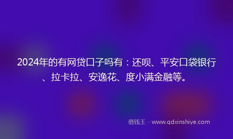 2024年的有网贷口子吗有：还呗、平安口袋银行、拉卡拉、安逸花、度小满金融等。