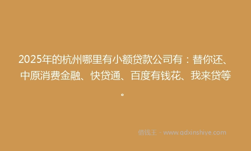 2025年的杭州哪里有小额贷款公司有：替你还、中原消费金融、快贷通、百度有钱花、我来贷等。