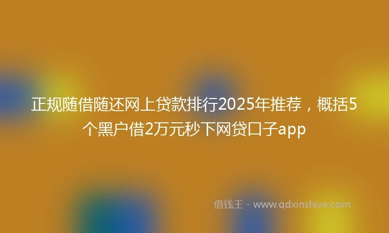 正规随借随还网上贷款排行2025年推荐，概括5个黑户借2万元秒下网贷口子app