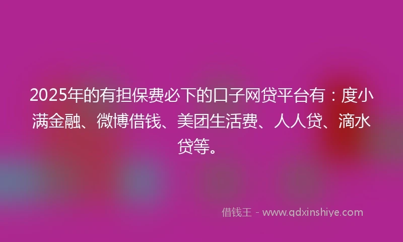 2025年的有担保费必下的口子网贷平台有：度小满金融、微博借钱、美团生活费、人人贷、滴水贷等。