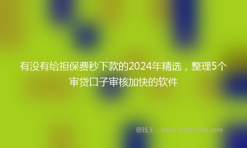 有没有给担保费秒下款的2024年精选，整理5个审贷口子审核加快的软件