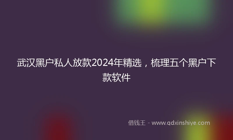 武汉黑户私人放款2024年精选，梳理五个黑户下款软件
