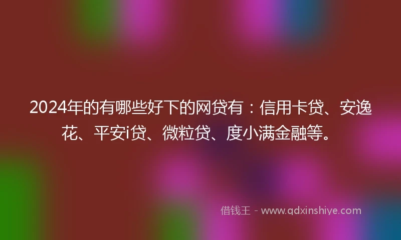 2024年的有哪些好下的网贷有：信用卡贷、安逸花、平安i贷、微粒贷、度小满金融等。
