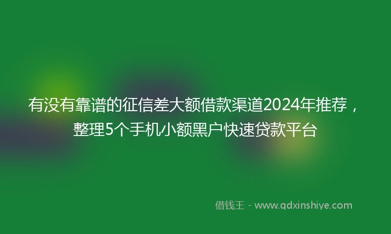 有没有靠谱的征信差大额借款渠道2024年推荐，整理5个手机小额黑户快速贷款平台