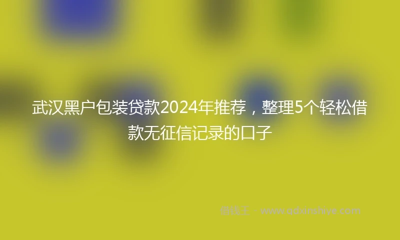 武汉黑户包装贷款2024年推荐，整理5个轻松借款无征信记录的口子