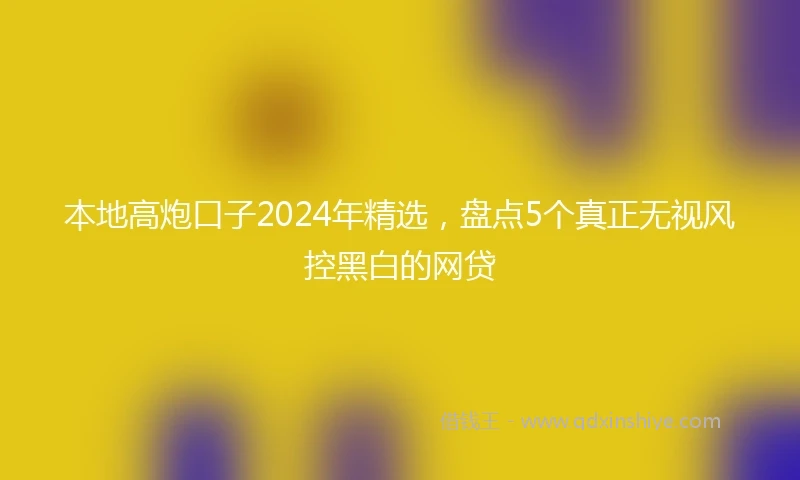 本地高炮口子2024年精选，盘点5个真正无视风控黑白的网贷