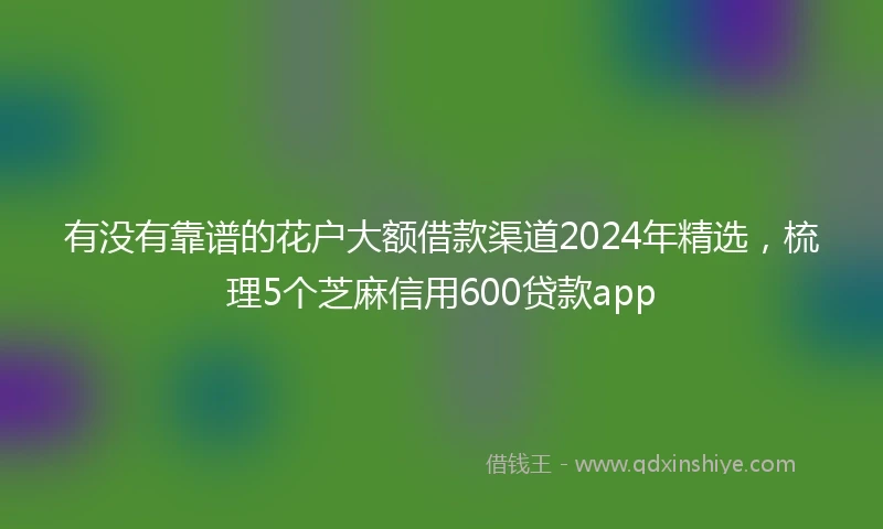 有没有靠谱的花户大额借款渠道2024年精选，梳理5个芝麻信用600贷款app