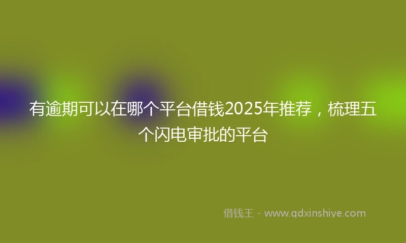 有逾期可以在哪个平台借钱2025年推荐，梳理五个闪电审批的平台