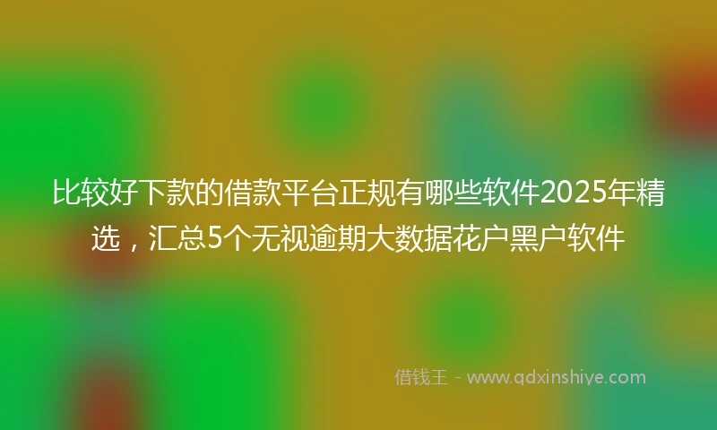 比较好下款的借款平台正规有哪些软件2025年精选，汇总5个无视逾期大数据花户黑户软件