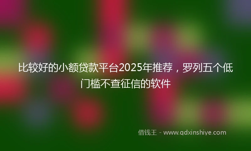 比较好的小额贷款平台2025年推荐，罗列五个低门槛不查征信的软件