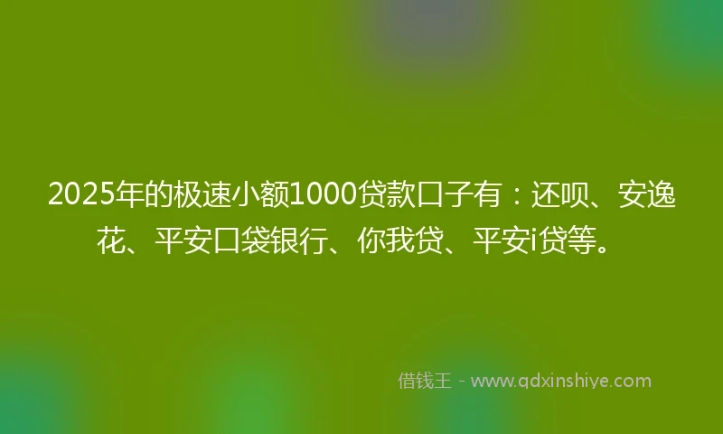 2025年的极速小额1000贷款口子有：还呗、安逸花、平安口袋银行、你我贷、平安i贷等。