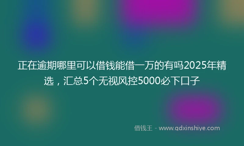 正在逾期哪里可以借钱能借一万的有吗2025年精选，汇总5个无视风控5000必下口子