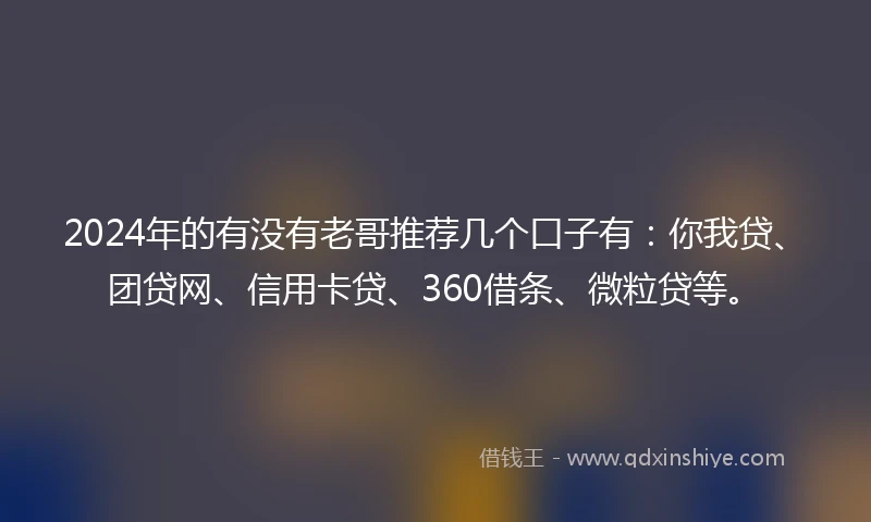 2024年的有没有老哥推荐几个口子有：你我贷、团贷网、信用卡贷、360借条、微粒贷等。