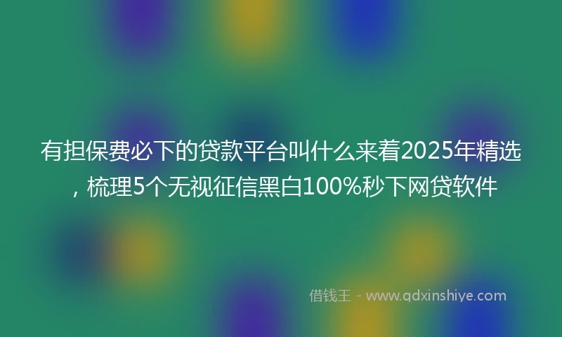 有担保费必下的贷款平台叫什么来着2025年精选，梳理5个无视征信黑白100%秒下网贷软件