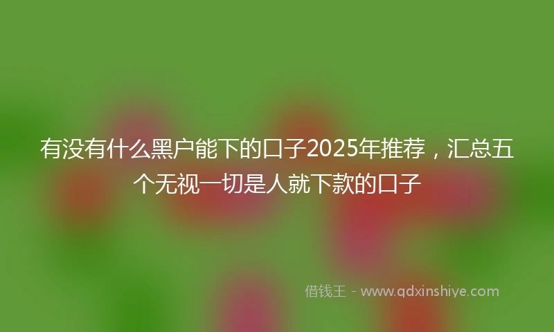 有没有什么黑户能下的口子2025年推荐，汇总五个无视一切是人就下款的口子