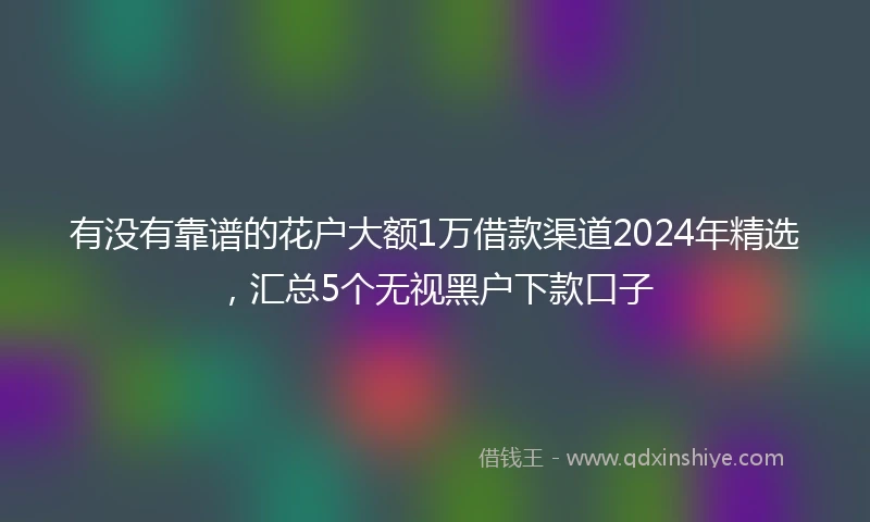 有没有靠谱的花户大额1万借款渠道2024年精选，汇总5个无视黑户下款口子