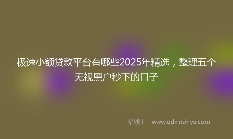 极速小额贷款平台有哪些2025年精选，整理五个无视黑户秒下的口子