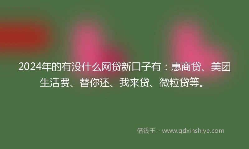 2024年的有没什么网贷新口子有：惠商贷、美团生活费、替你还、我来贷、微粒贷等。