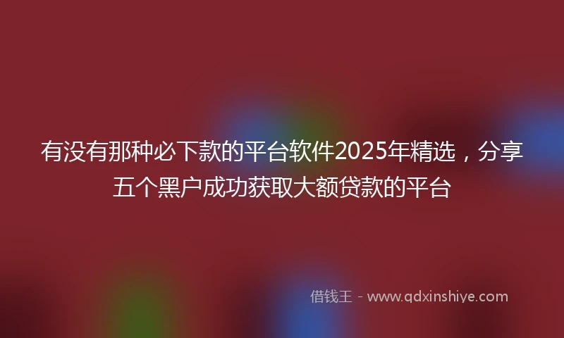 有没有那种必下款的平台软件2025年精选，分享五个黑户成功获取大额贷款的平台