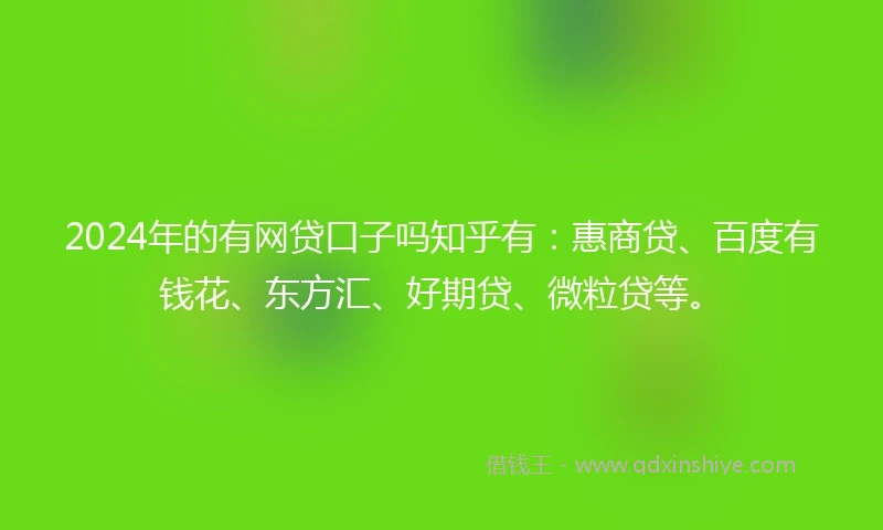 2024年的有网贷口子吗知乎有：惠商贷、百度有钱花、东方汇、好期贷、微粒贷等。