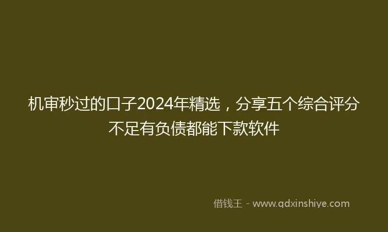 机审秒过的口子2024年精选，分享五个综合评分不足有负债都能下款软件