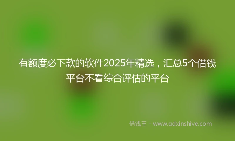 有额度必下款的软件2025年精选，汇总5个借钱平台不看综合评估的平台