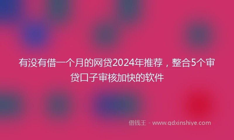 有没有借一个月的网贷2024年推荐，整合5个审贷口子审核加快的软件