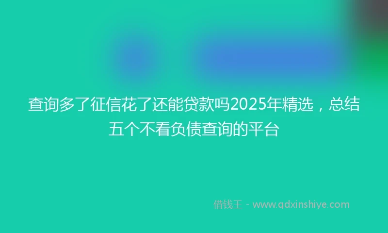 查询多了征信花了还能贷款吗2025年精选，总结五个不看负债查询的平台