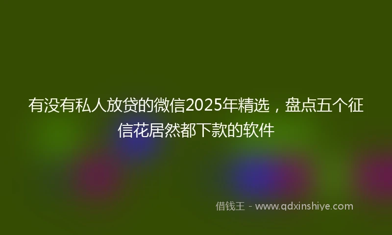 有没有私人放贷的微信2025年精选，盘点五个征信花居然都下款的软件