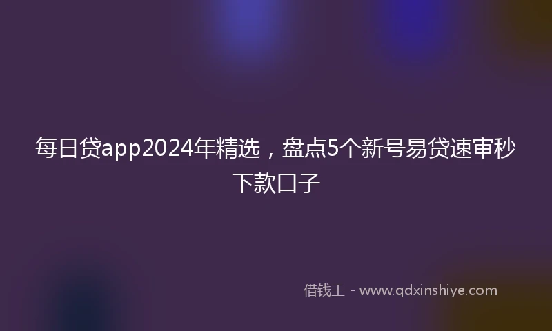 每日贷app2024年精选，盘点5个新号易贷速审秒下款口子