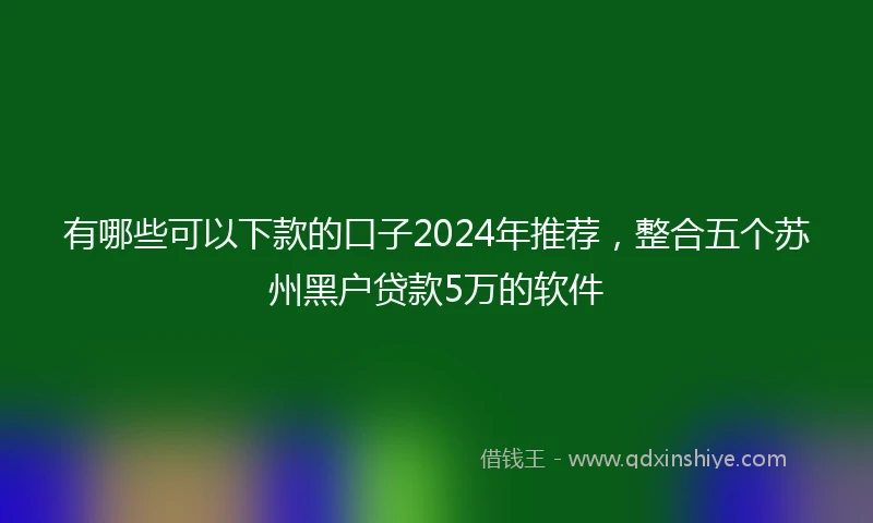 有哪些可以下款的口子2024年推荐，整合五个苏州黑户贷款5万的软件
