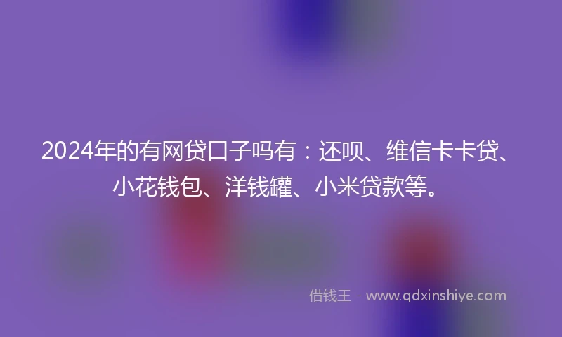 2024年的有网贷口子吗有：还呗、维信卡卡贷、小花钱包、洋钱罐、小米贷款等。