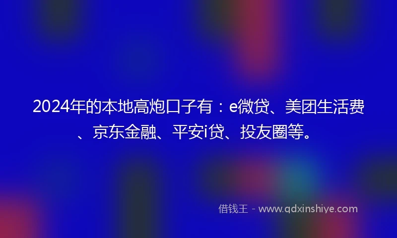 2024年的本地高炮口子有：e微贷、美团生活费、京东金融、平安i贷、投友圈等。