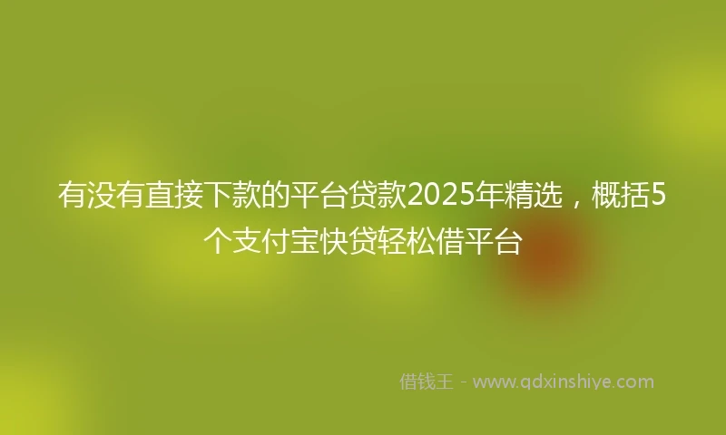 有没有直接下款的平台贷款2025年精选，概括5个支付宝快贷轻松借平台