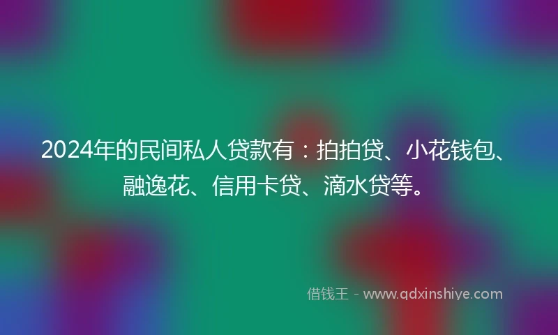 2024年的民间私人贷款有：拍拍贷、小花钱包、融逸花、信用卡贷、滴水贷等。