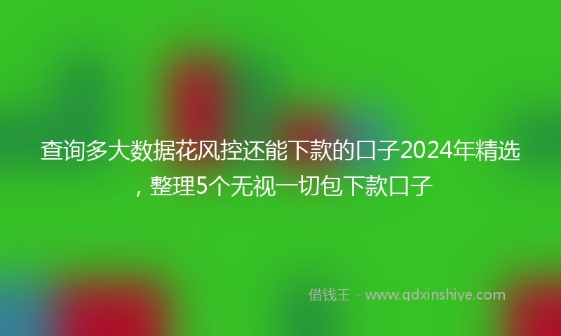 查询多大数据花风控还能下款的口子2024年精选，整理5个无视一切包下款口子