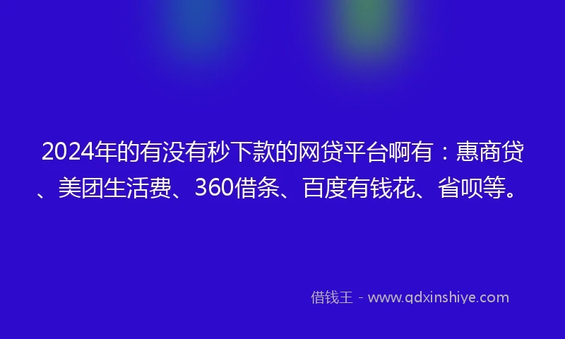 2024年的有没有秒下款的网贷平台啊有：惠商贷、美团生活费、360借条、百度有钱花、省呗等。