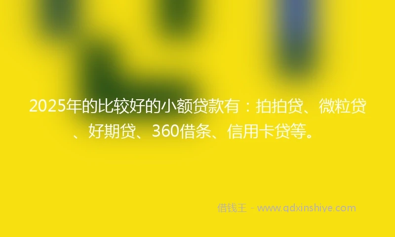 2025年的比较好的小额贷款有：拍拍贷、微粒贷、好期贷、360借条、信用卡贷等。