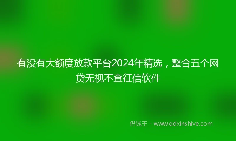 有没有大额度放款平台2024年精选，整合五个网贷无视不查征信软件