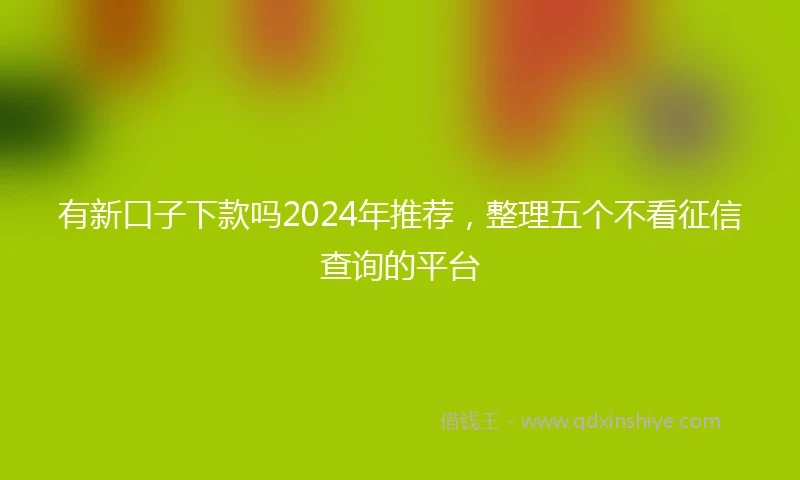 有新口子下款吗2024年推荐，整理五个不看征信查询的平台