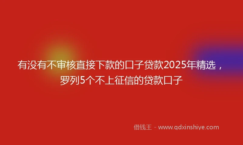 有没有不审核直接下款的口子贷款2025年精选，罗列5个不上征信的贷款口子