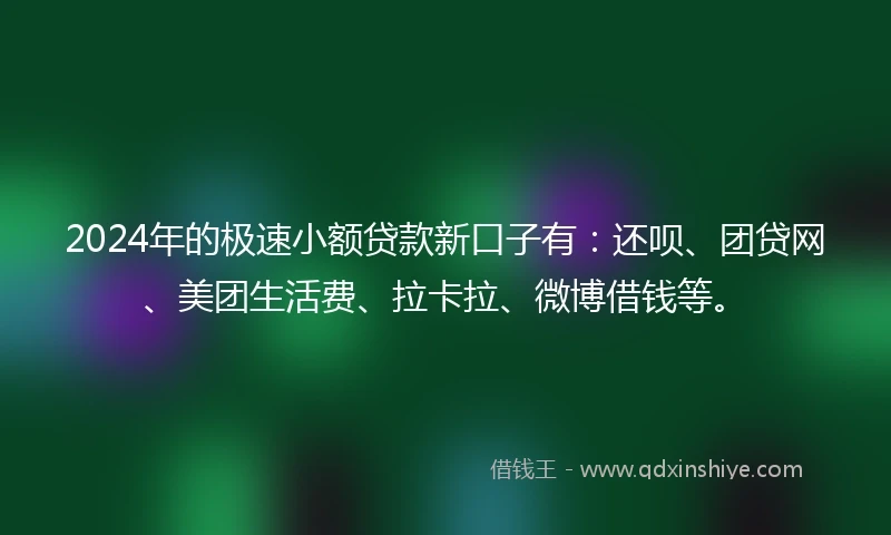 2024年的极速小额贷款新口子有：还呗、团贷网、美团生活费、拉卡拉、微博借钱等。